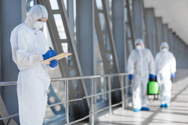 Best Real Estate Mold Inspection  in Heidelberg, TX