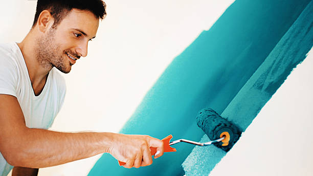 Trusted Heidelberg, TX Mold Removal Experts